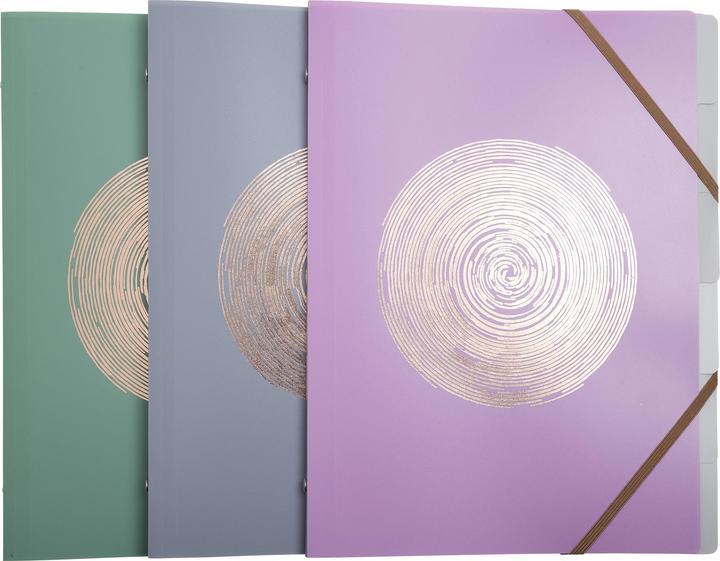 Produktbild Exacompta Fächermappe Set Ellipse (A4)