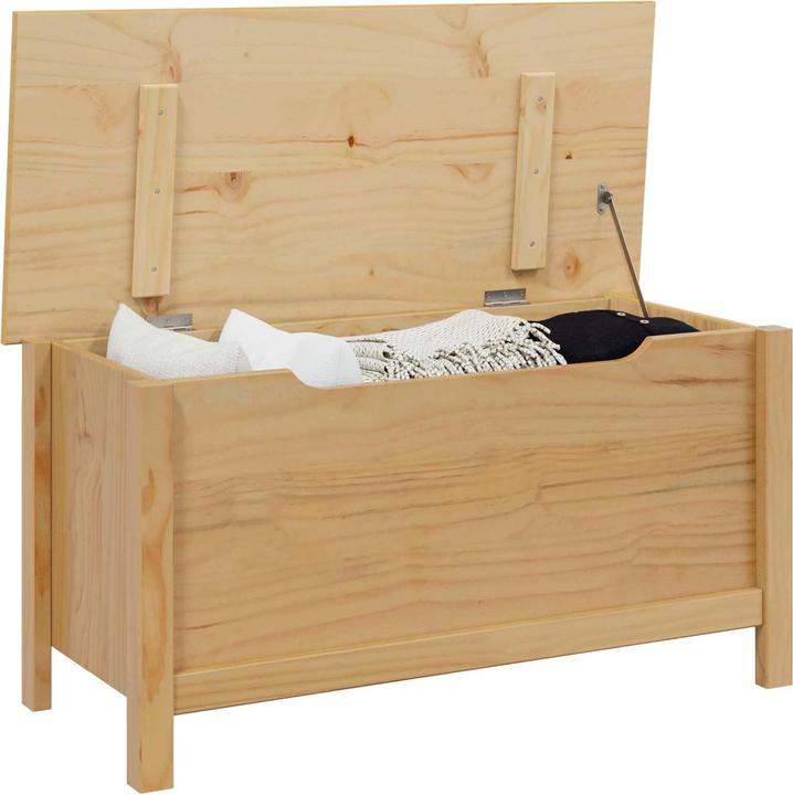 Image du produit vidaXL Aufbewahrungsbox (90 cm)