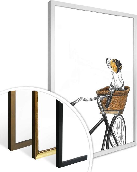 Image du produit Trenddeko Chien dans un panier (30 x 40 cm)