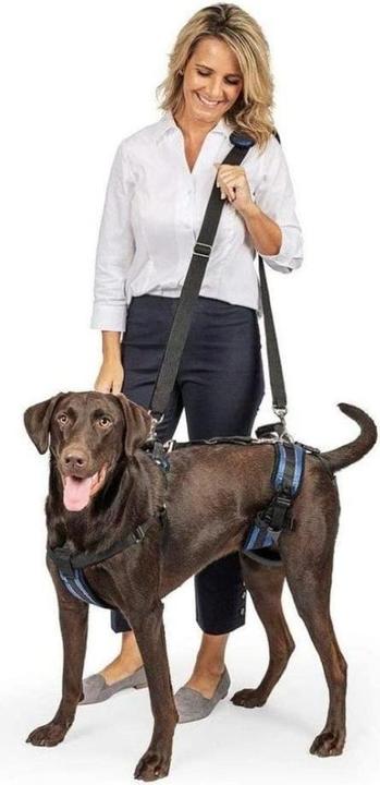 Actual product image PetSafe CareLift™ Support Harness, Large (Dog, General)
