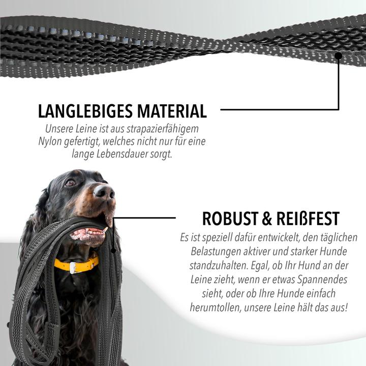 Produktbild Bluzelle 3m Hundeleine, Doppelleine Führleine mit Karabiner, Verstellbar (Spazieren)