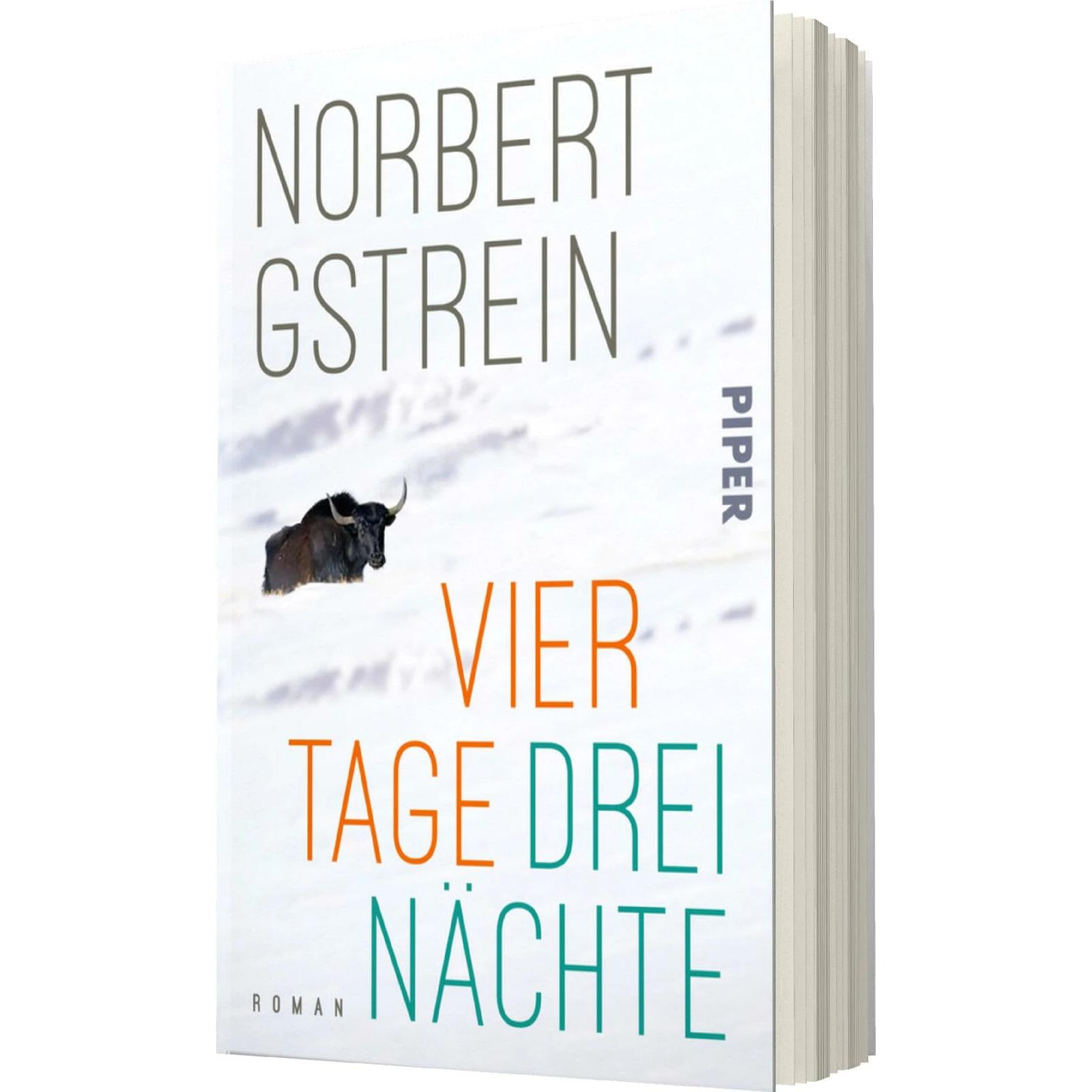 Vier Tage, drei Nächte, Belletristik von Norbert Gstrein