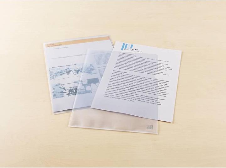 Actual product image Elba A4 Viewing Pockets (A4, 100x)