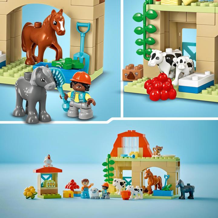 Image du produit LEGO 10416 Soins aux animaux de la ferme (10416)