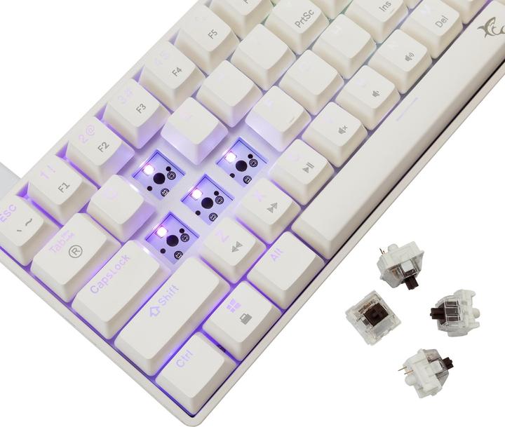 Actual product image White Shark GK-004231 Shinobi-2 Brown Switch, White US (US, Cable)