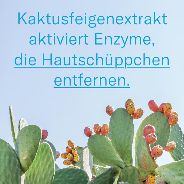 Produktbild Leti balm Körperbalsam, 75 ml Creme (Körpercreme, 75 ml)