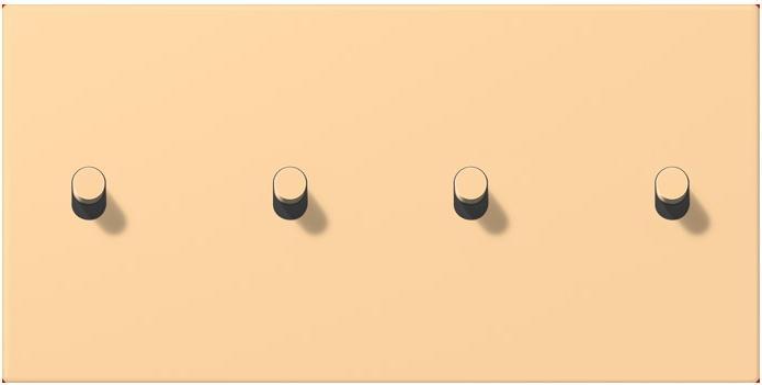 Actual product image JUNG Cover with toggle lever