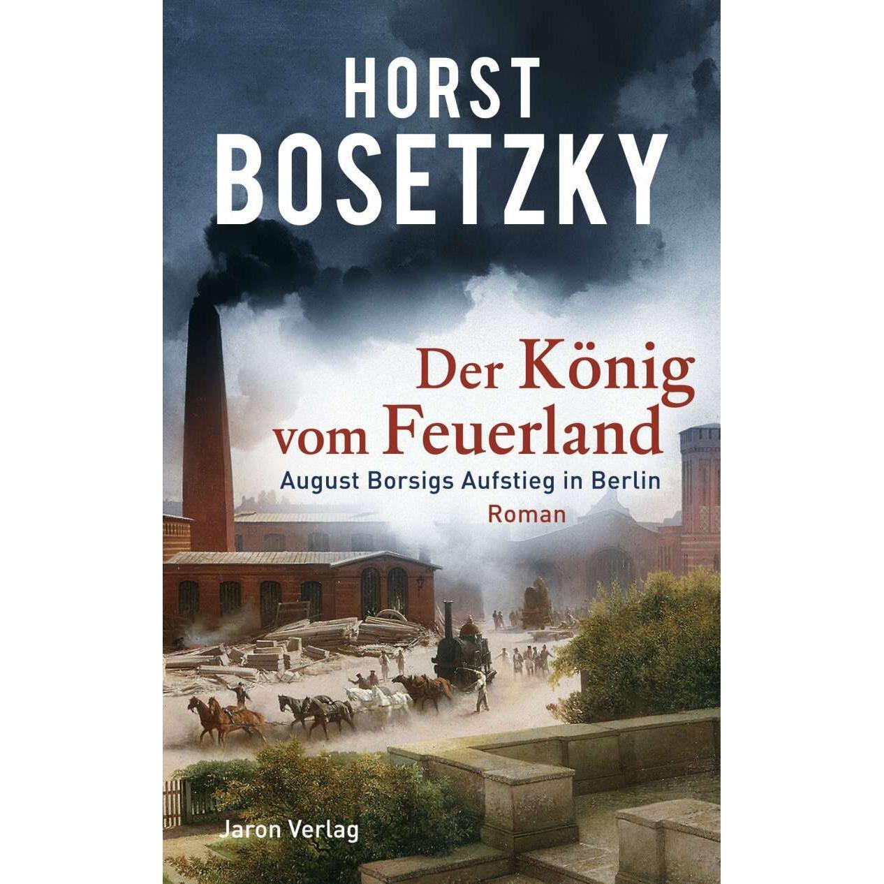 Der König vom Feuerland, Belletristik von Horst Bosetzky