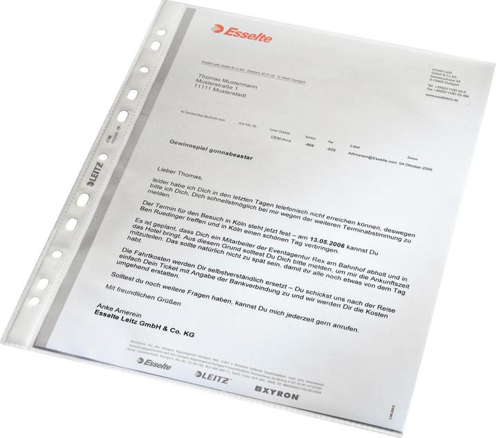 Leitz Standard Prospekthülle (A4, 100 x)