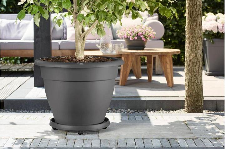 Image du produit Elho Dessous de plat à roulettes 40 cm anthracite