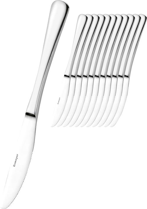 Actual product image Esmeyer 12 knives SYLVIA silver glossy, polished (12 Piece, Knife)