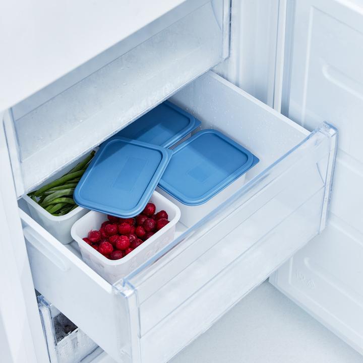 Actual product image Rotho Domino (0.75 l)