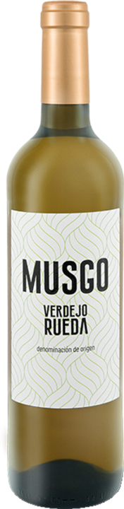 Actual product image Val de Vid Musgo Verdejo Rueda DO (2023)
