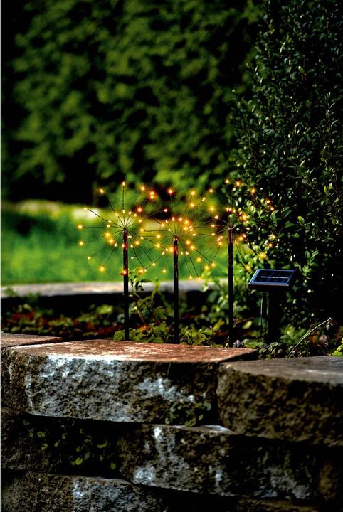 Image du produit Star Trading Firework (IP44)