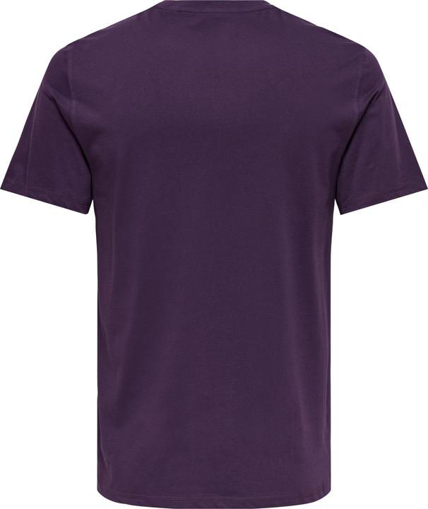 Actual product image Only & Sons Onsmax Life Ss Stitch Tee Noos (S)