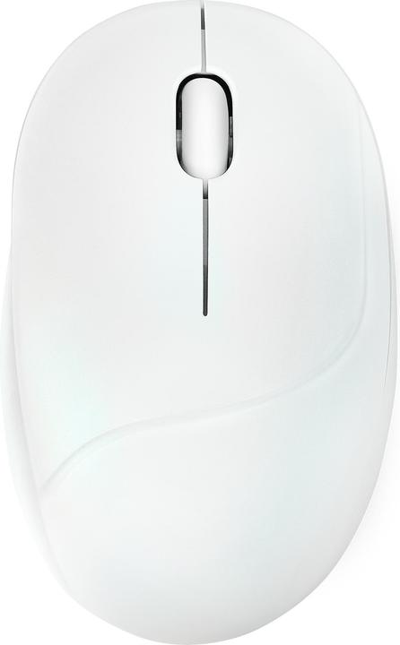 Produktbild ASUS MD101 MOUSE/WH (Kabellos)