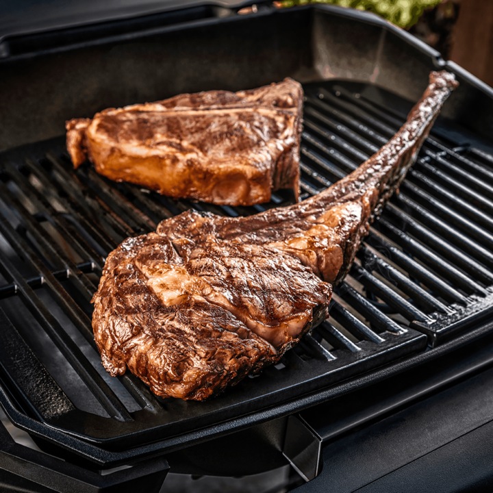 Actual product image Weber Pulse 2000 with stand (2.20 kW)
