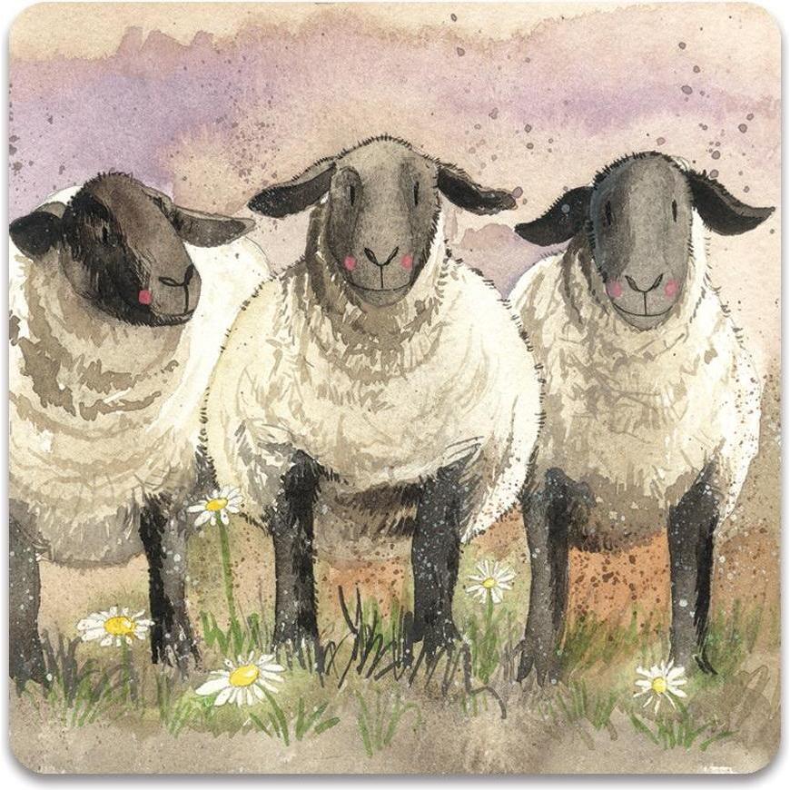 Teka, Magneti, Magnet FM113 3 Schafe