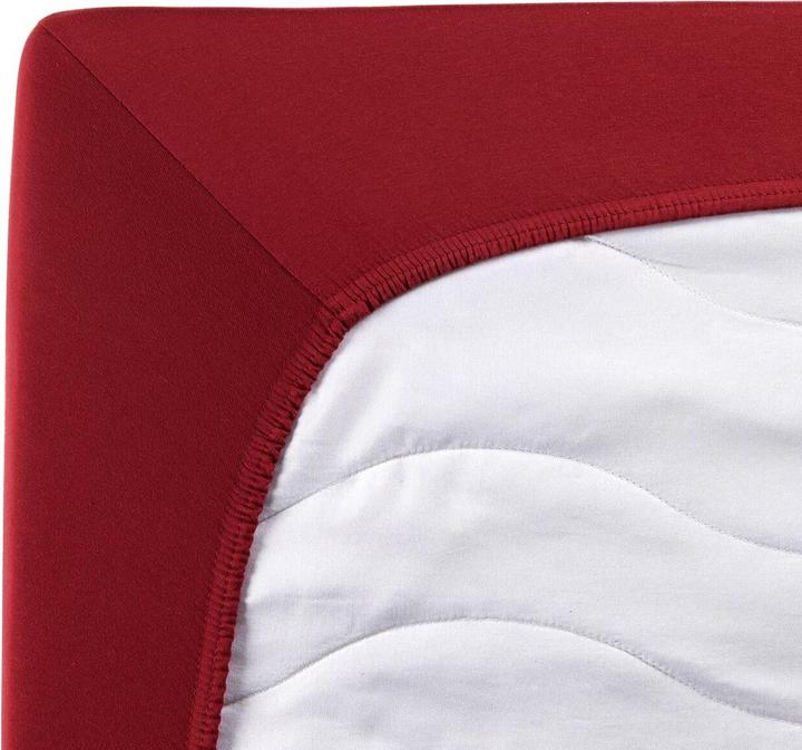 Actual product image Traumschlaf Jersey-Elasthan Stretch (100x200 cm, 90x200 cm)