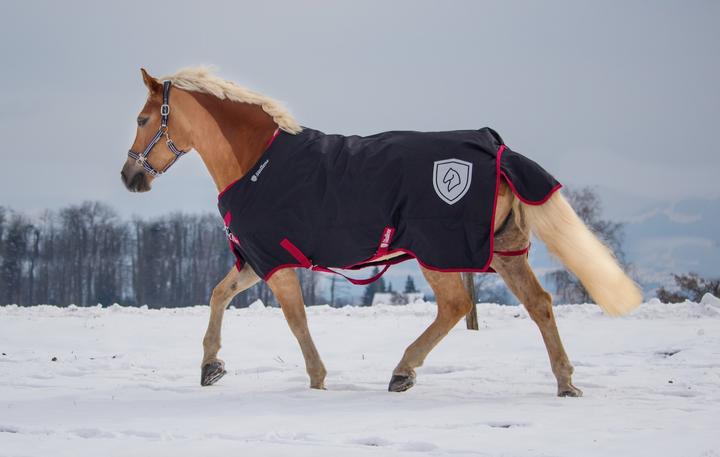 Produktbild Stallone Regendecke Boston (135 cm)