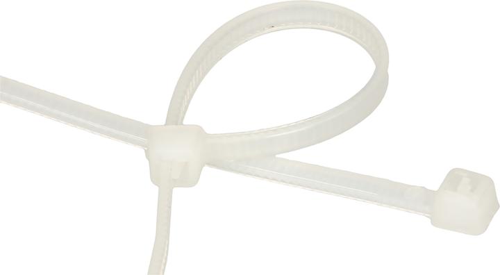 Image du produit Max Hauri Colliers de serrage (Serre-câbles en plastique, 100 mm, 100 pcs)