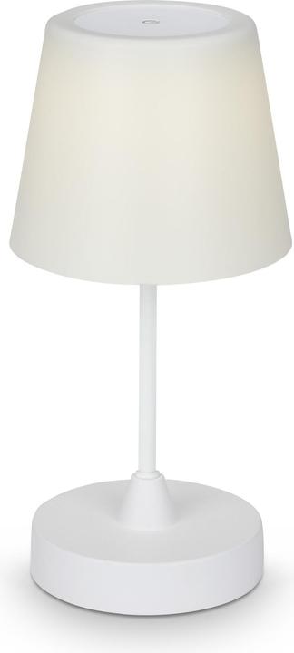 Briloner Bene (340 lm)