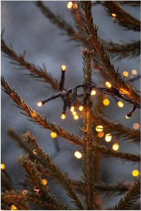 Actual product image Star Trading Garden lights (24 m)