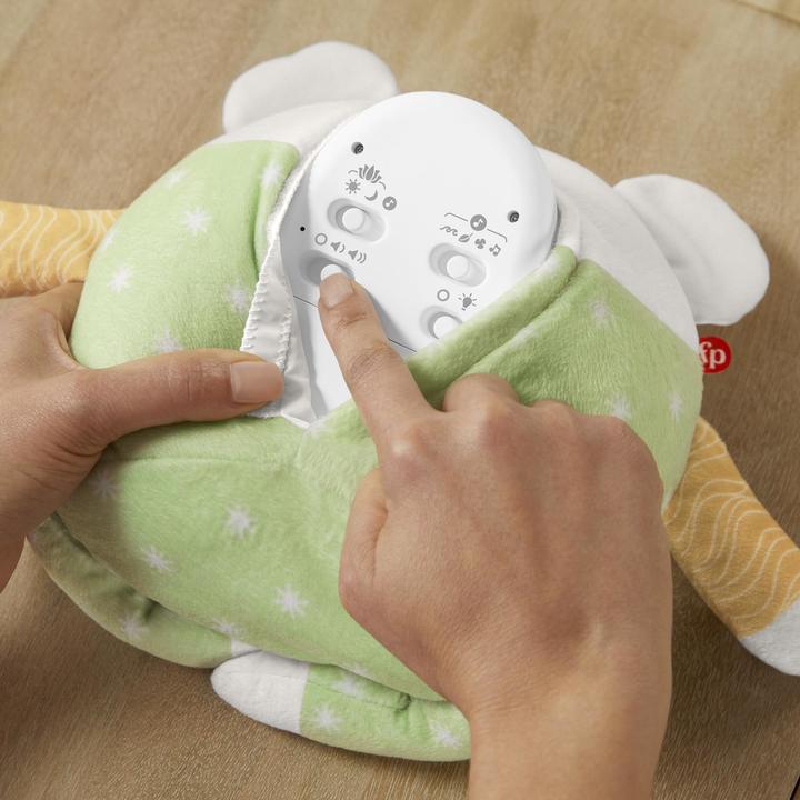Actual product image Fisher-Price Meditation Mouse