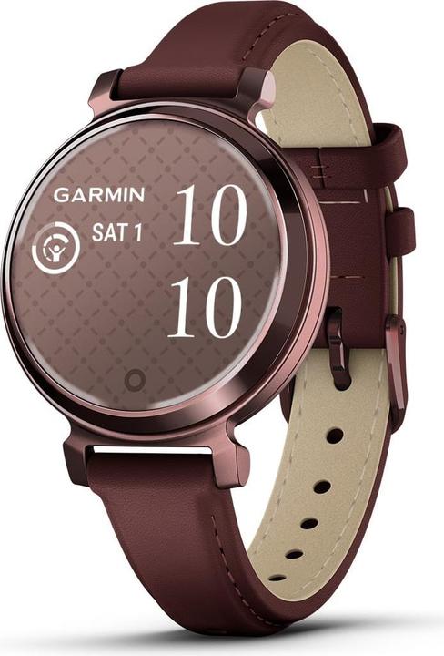 Image du produit Garmin 010-02839-03 Lilly 2