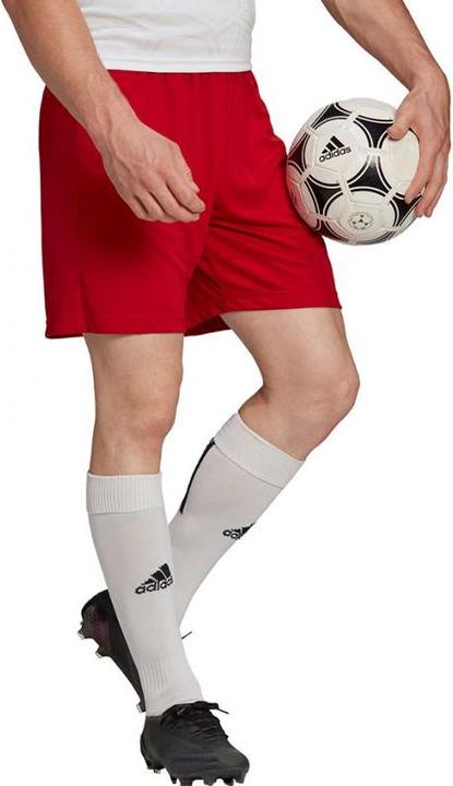 Actual product image Adidas Entrada 22 Shorts Men (S)