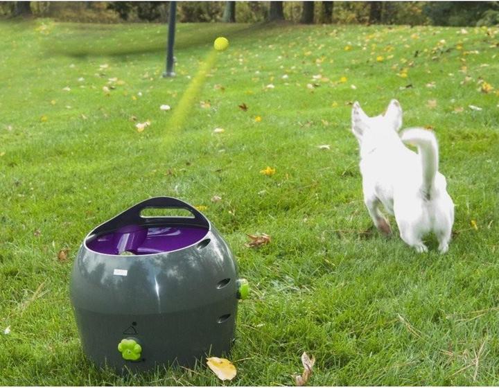 Actual product image PetSafe Ball thrower (Ball toy dog)