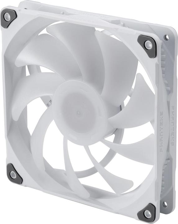 Produktbild Phanteks M25 PWM D-RGB Lüfter, 3er Pack - 140mm, weiss (140 mm, 3 x)