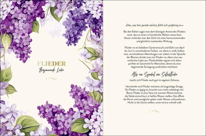 Produktbild Die geheimnisvollen Botschaften der Blumen (Deutsch, Groh Verlag, 2025)