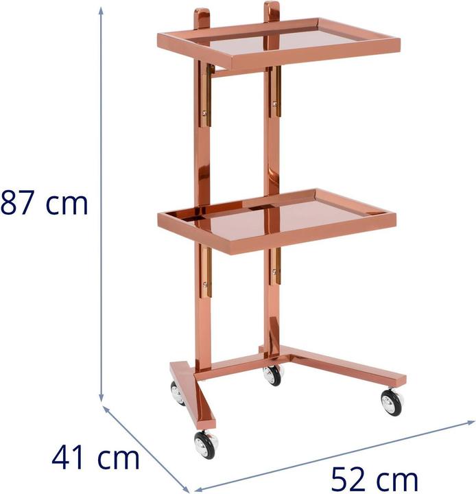 Actual product image Physa Beauty Trolley - 2 folding shelves - up to 10 kg - rose gold - stainless steel