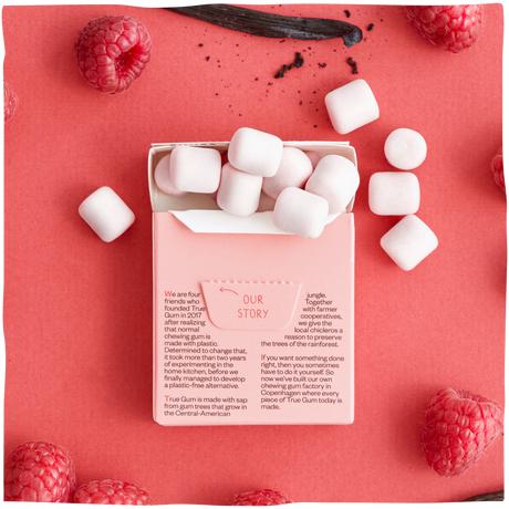 Actual product image True Gum Raspberry & Vanilla (1 pcs., 21 g)
