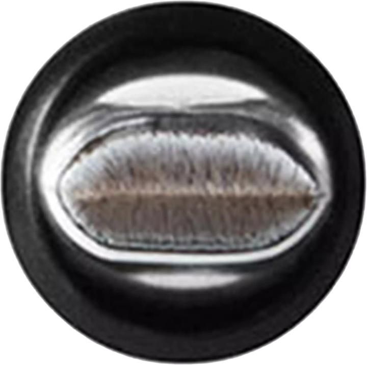 Produktbild MAC Cosmetics 318 Retractable Lip Brush (Lippen)