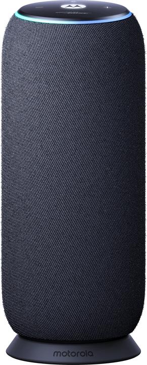 Motorola Sound Flow, carbon (12 h)