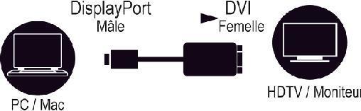 Produktbild MCL Displayport Male To Dvi Female (DVI, 15 cm)