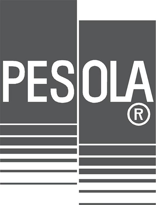 Immagine prodotto Pesola Bilancia a sospensione digitale 40 kg