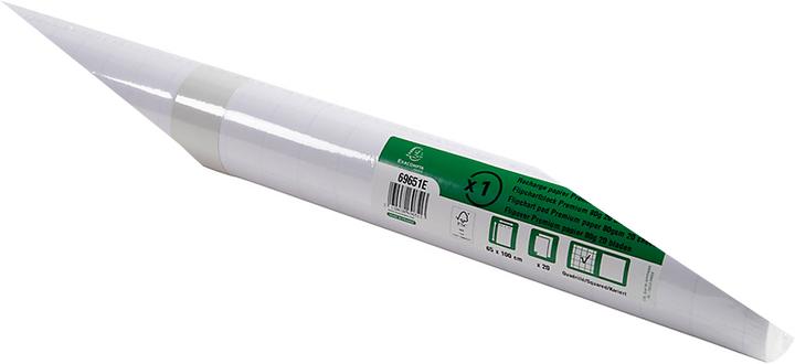 Produktbild Exacompta Flipchart Papier, B 650 x H 1000 mm, kariert oder blanko, holzfreies Papier, 80 g/m², w...