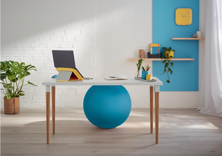 Immagine prodotto Leitz Palla per sedersi Ergo Cosy Active (65 cm)