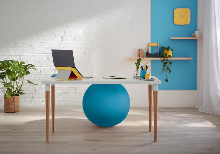 Actual product image Leitz Ergo Cosy Active sitting ball (65 cm)