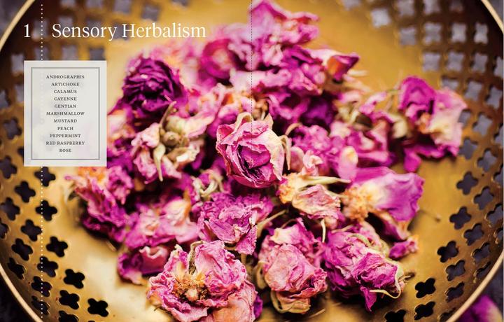 Produktbild National Geographic Die ganze Welt der Heilpflanzen (Deutsch, Mimi Prunella Hernandez, 2025)