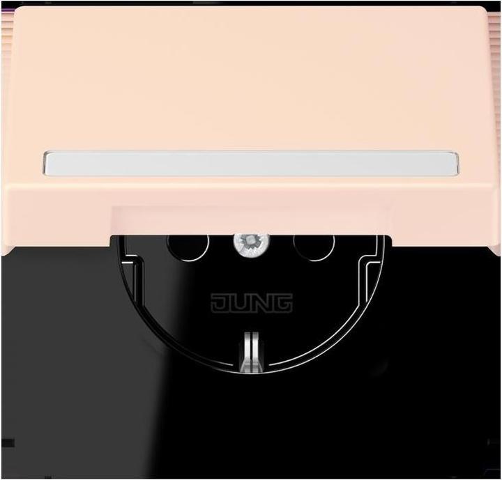 Actual product image JUNG SCHUKO socket outlet
