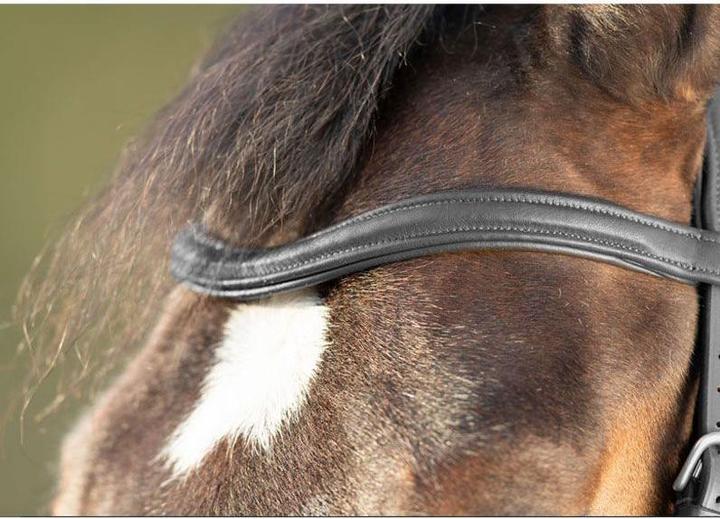 Produktbild HFI Master Soft