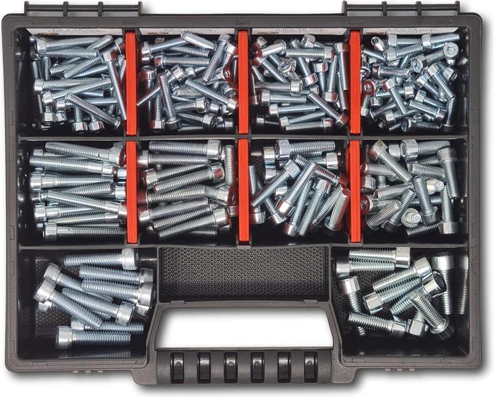 Actual product image Schraubenbox24 Cylinder head screws assortment M4-M5-M6 // 12mm-30mm 210 pcs. Screw box (210 Screws per piece)