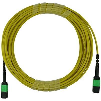 BlueOptics Cisco CB-M12-M12-SMF5M kompatibles MPO-MPO Singlemode G.657.A1 Patchkabel 5 Meter, Cavo di rete