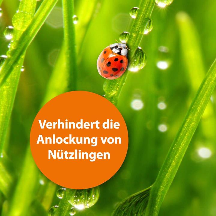 Produktbild Ardap Fliegenfalle