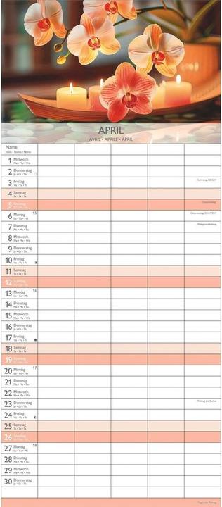 Produktbild Alpha Edition Familienplaner Zen 2026 (19.5 x 45 cm, Harter Einband, Deutsch, Französisch, Italienisch, Englisch)