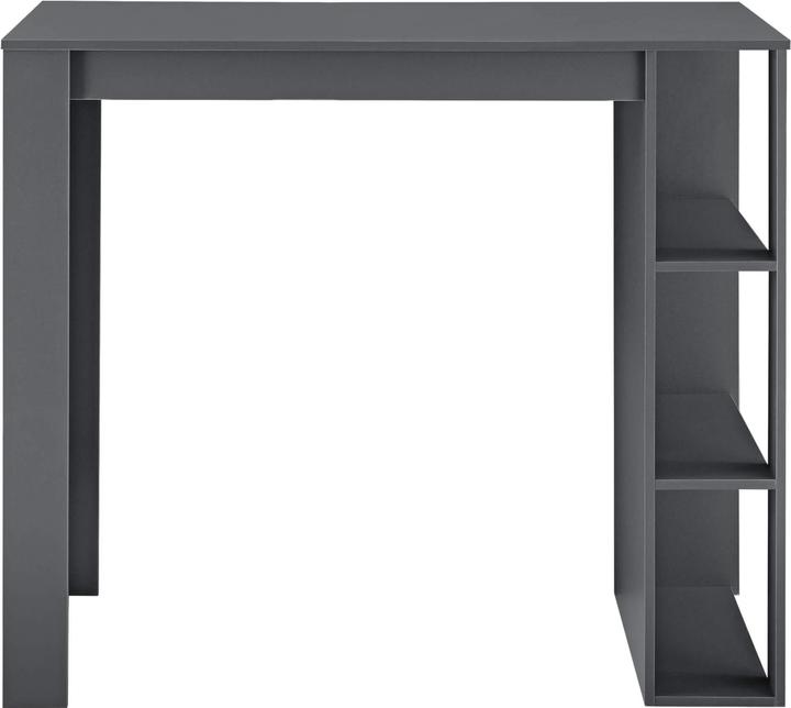 Image du produit En.Casa Danderyd (120 x 60 x 105.5 cm)